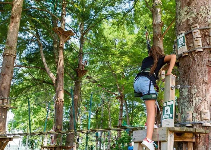 캠프장 32m² Avec Terrasse A - Api-1-52-550 *