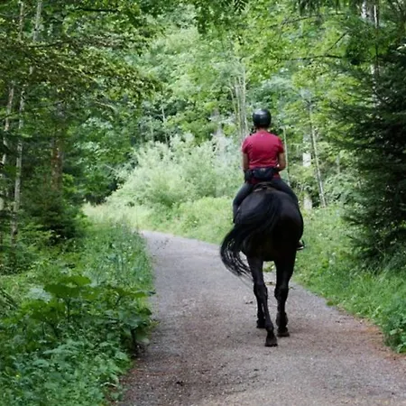 32m² Avec Terrasse A - Api-1-52-550 Camping Soustons